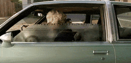 tumblr_mclga7I6tT1qb5gkjo1_500